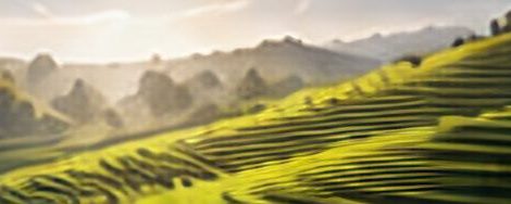 Agriculture & Food
