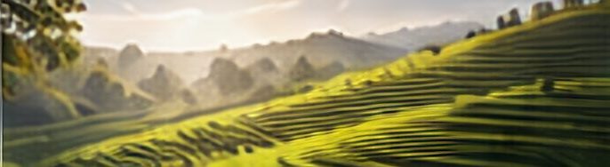 Sustainable value chains create resilience.